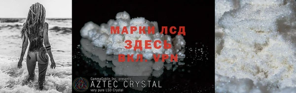 PSILOCYBIN Вяземский