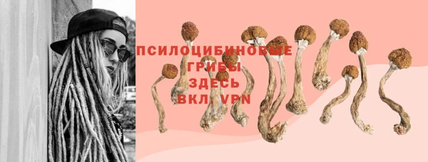мдпв Покровск