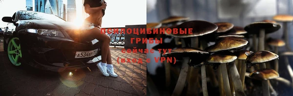 герыч Вязники