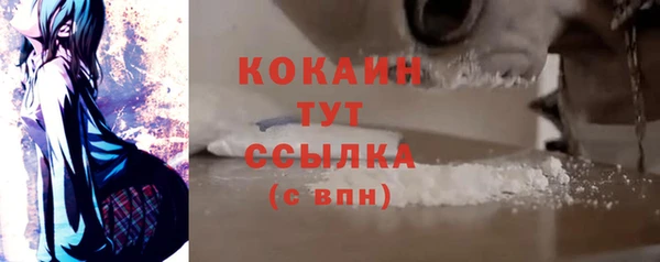 PSILOCYBIN Вяземский