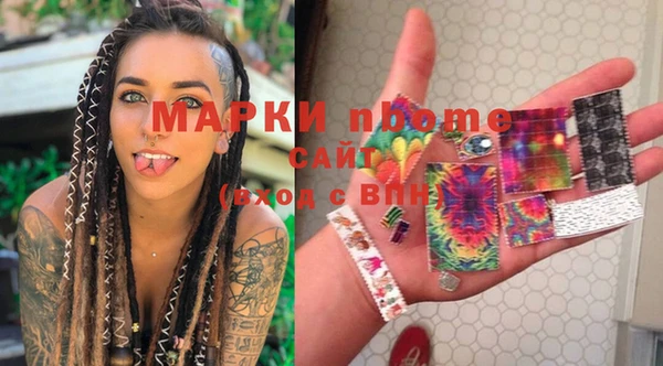 PSILOCYBIN Вяземский