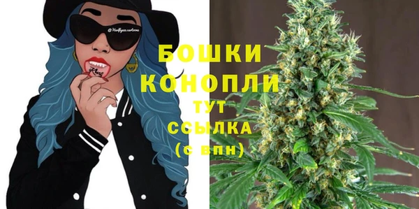 Альфа ПВП Нея