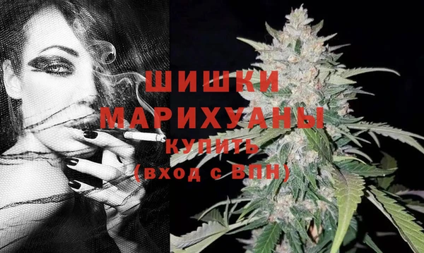 PSILOCYBIN Вяземский