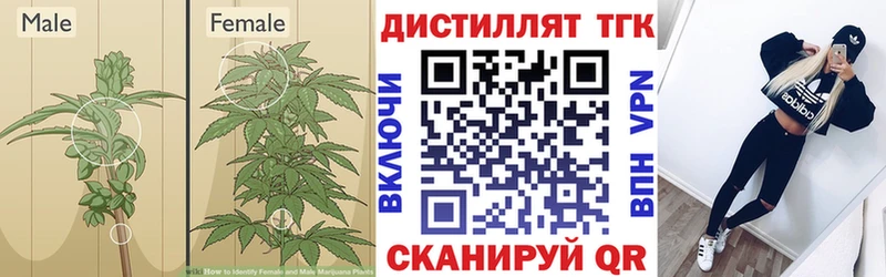 Дистиллят ТГК THC oil  Приморск 